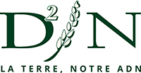 logo D2N